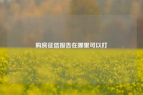 购房征信报告在哪里可以打